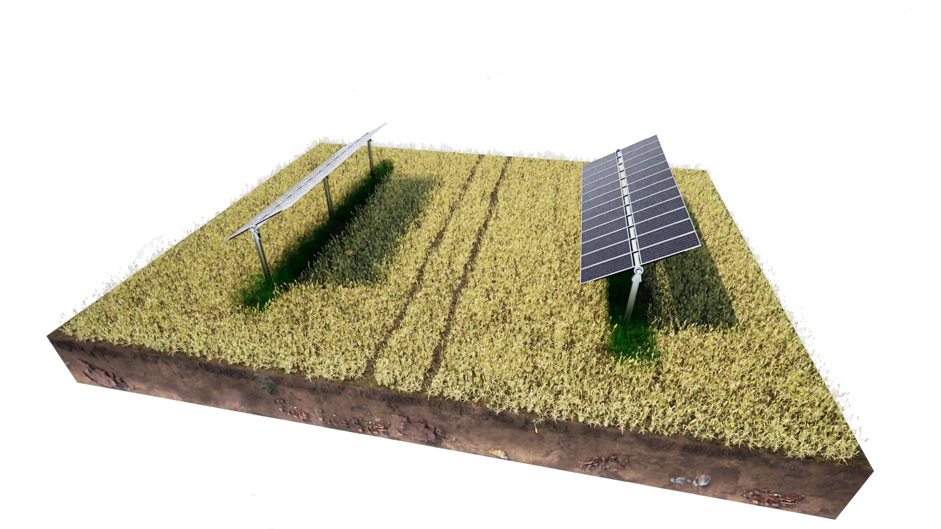 Structure agrivoltaïque 2V