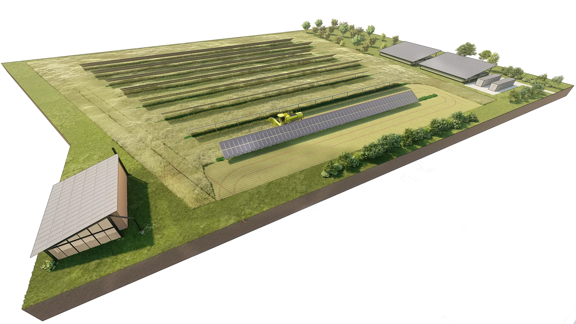 Rendu 3D d'une installation agrivoltaïque